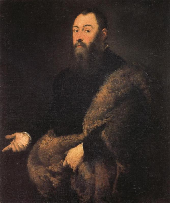 Jacopo Tintoretto Portrait of a Gentleman in a Fur Spain oil painting art